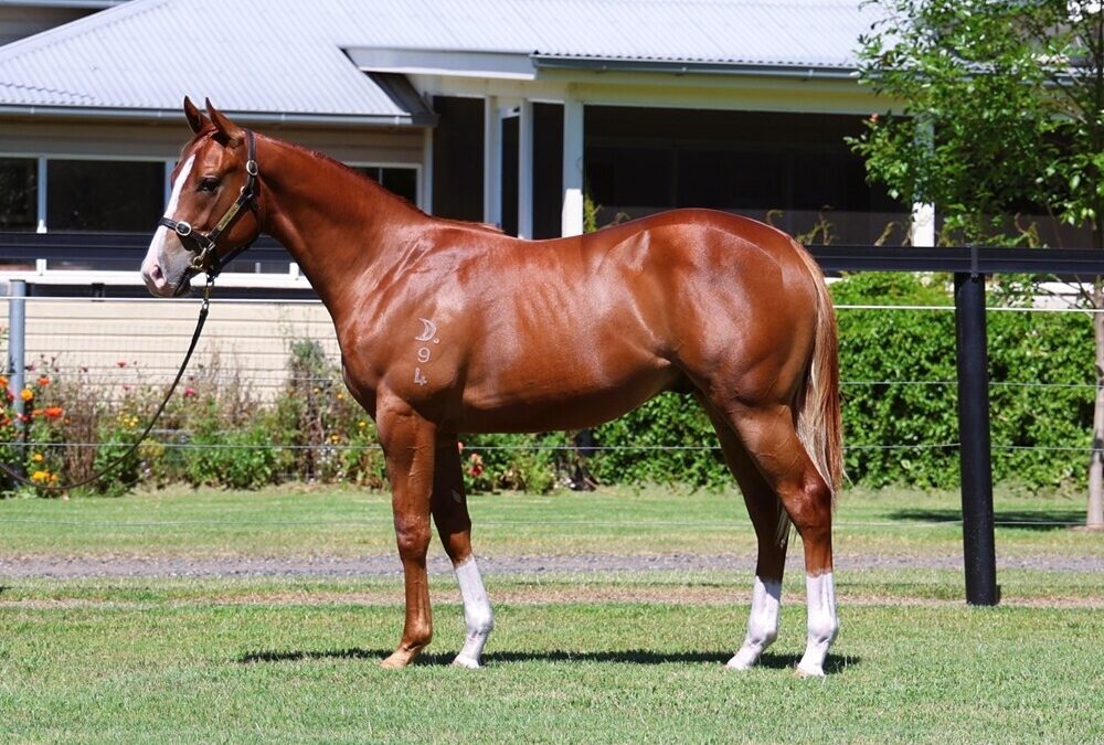 Un-named (Harry Angel – Flamenco Girl)